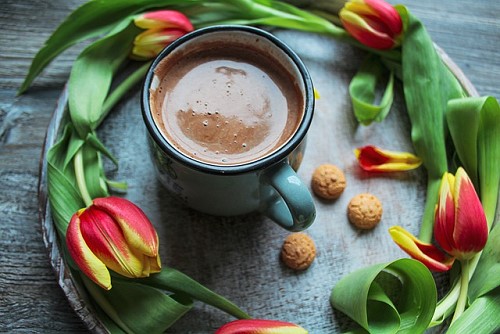 kaffee tulpen